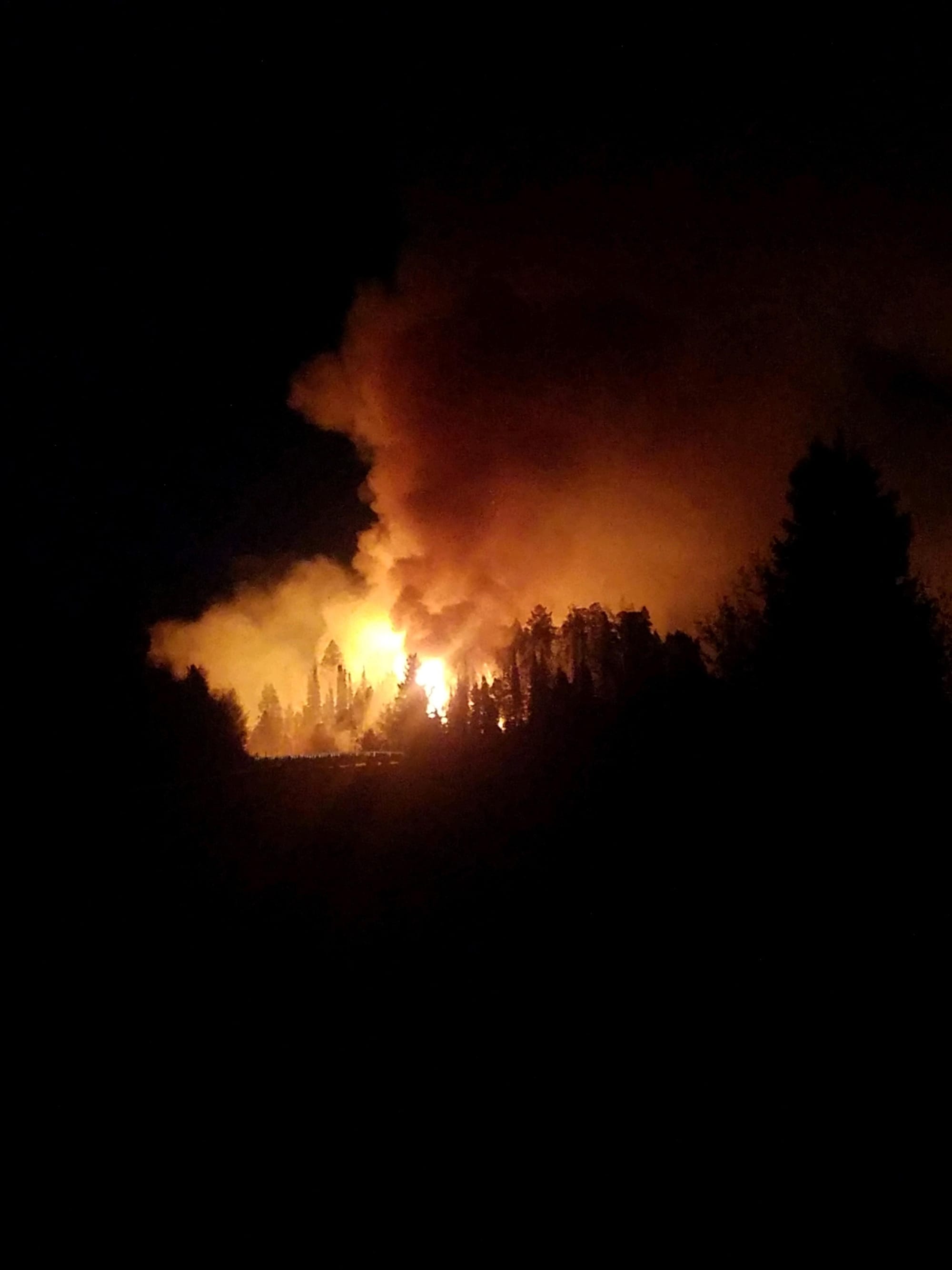 Bright orange flames engulfing forest at night, with silhouettes of trees.