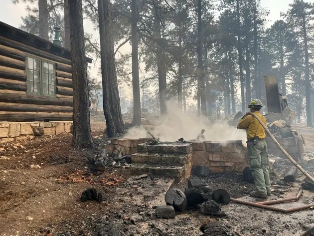 A firefighter hoses down smoking rubble near a log cabin in a forest charred by wildfire.