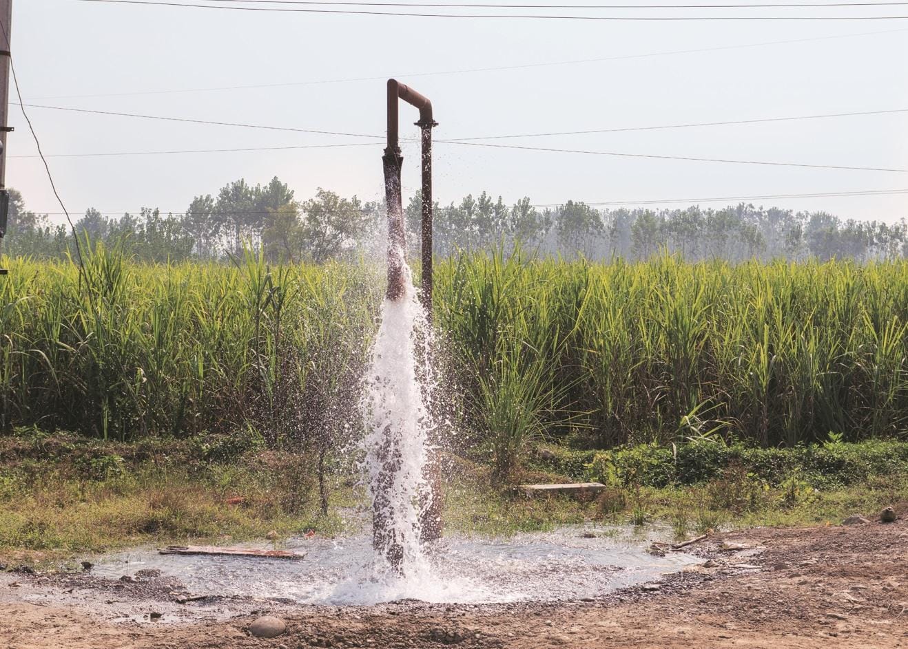 Water bursts forcefully from a metal irrigation pipe into a rural field, with tall crops growing in the background and pooling water around the outlet.