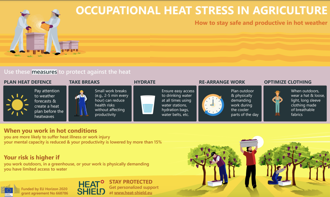 Infographic on occupational heat stress in agriculture showing safety tips: plan heat defence, take breaks, hydrate, re-arrange work, and optimize clothing to stay safe and productive in hot weather.